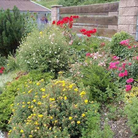 Haus Larcher Appartement *