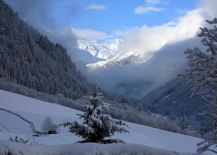 Haus Larcher Διαμέρισμα Neustift im Stubaital