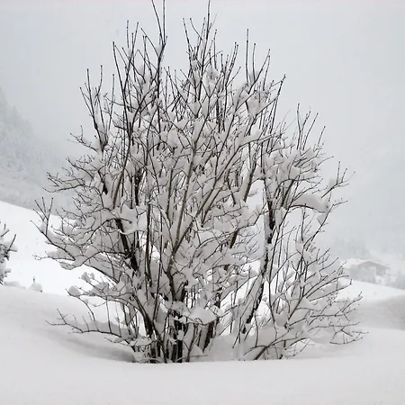 Haus Larcher Apartment Neustift im Stubaital